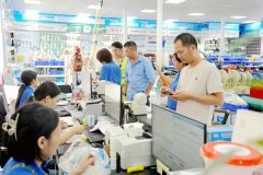 现场调研、精准对接等体例